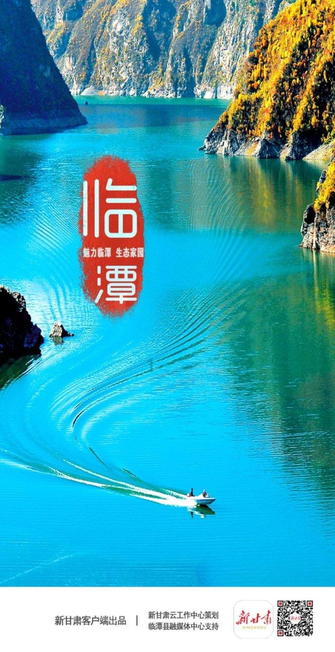 金鹰股份下跌5.04%,报4.9元/股